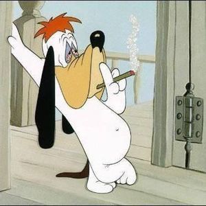 Meet your Posher, Nicholas